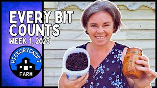 EVERY BIT COUNTS CHALLENGE: Week One August 2023 #everybitcountschallenge (Looking Back)