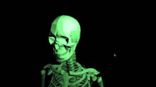 DH2323 lab3 rasterizer skeleton