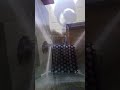 Watch this little bird venture into the bird house for the first time #birdhouse #birds #nestbox