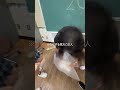【どゆこと?】#jk #お土産