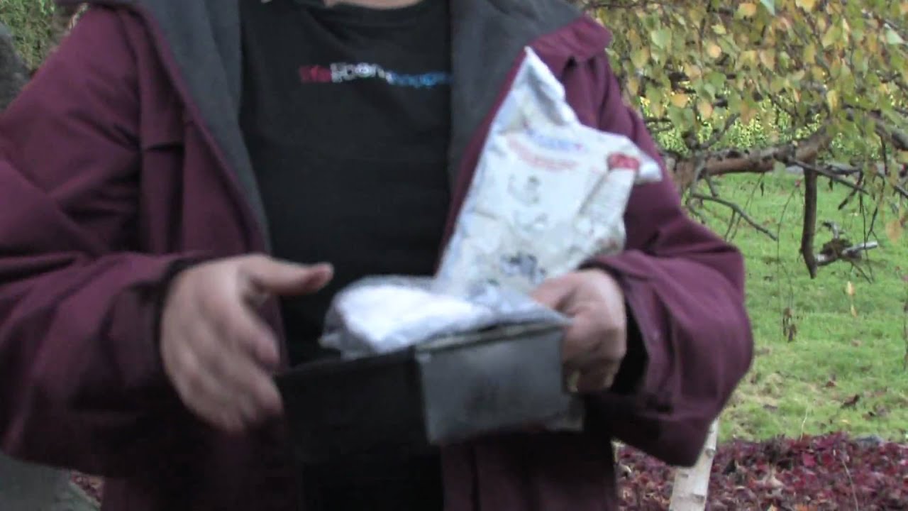 Gardening Tips : Growing Sunflower Seeds - YouTube