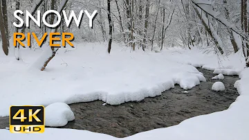 4K Snowy River - Relaxing Winter Video & Nature Sounds - Forest Snow - Ultra HD - 2160p