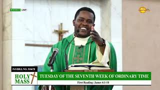 21-05-2024 | CAPUCHIN TV LIVE | TUESDAY OF THE SEVENTH WEEK OF ORDINARY TIME