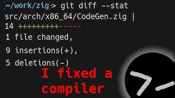 Role playing as a zig compiler dev