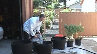 Gardening Tips Make Large Containers Light