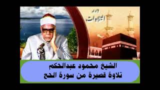 الشيخ محمود عبدالحكم تلاوة قصيرة من سورة الحج