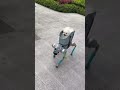 A robot dog is taking real dog for a walk. 📌