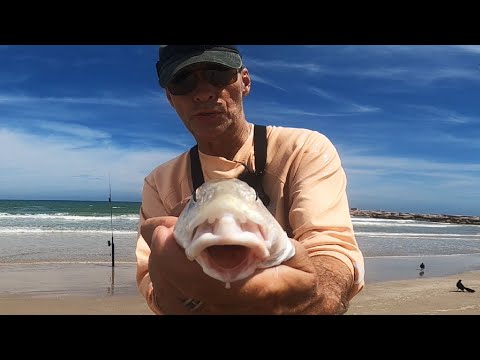 Easy way to catch fish from the beach surf fishing 