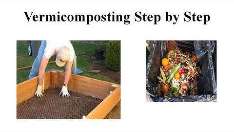 Garbage in Garbage out | Lecture -3 | Class - 6 | C.B.S.E Board