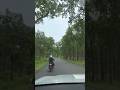 Jungle ride #youtubeshorts #travel #nature