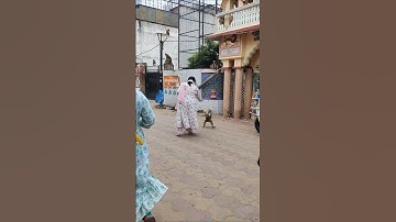 🥰vrindavan ke monkey 🤗#shorts #youtubeshorts #explore #love #monkeyvideo #vrindavandham