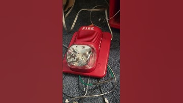 Specturalert Classic on Gentex Sync