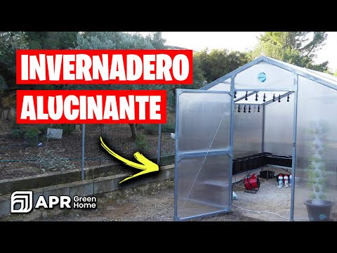 Video: Criadero de truchas en Krasnaya Polyana: servicios, horarios, cómo llegar