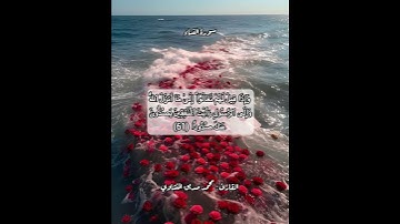 سورة النساء ٦١ #قرآن #قرآن_كريم #قران #قران_كريم #قرأن #quran