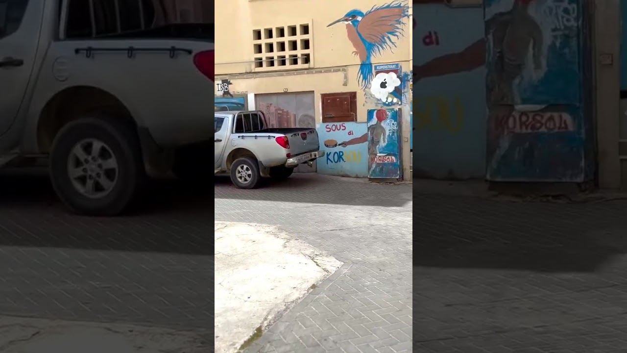 Street art in Curacao is special 💙🇨🇼 #curacao #travel #travelshorts #fypyoutube #streetart #fyp