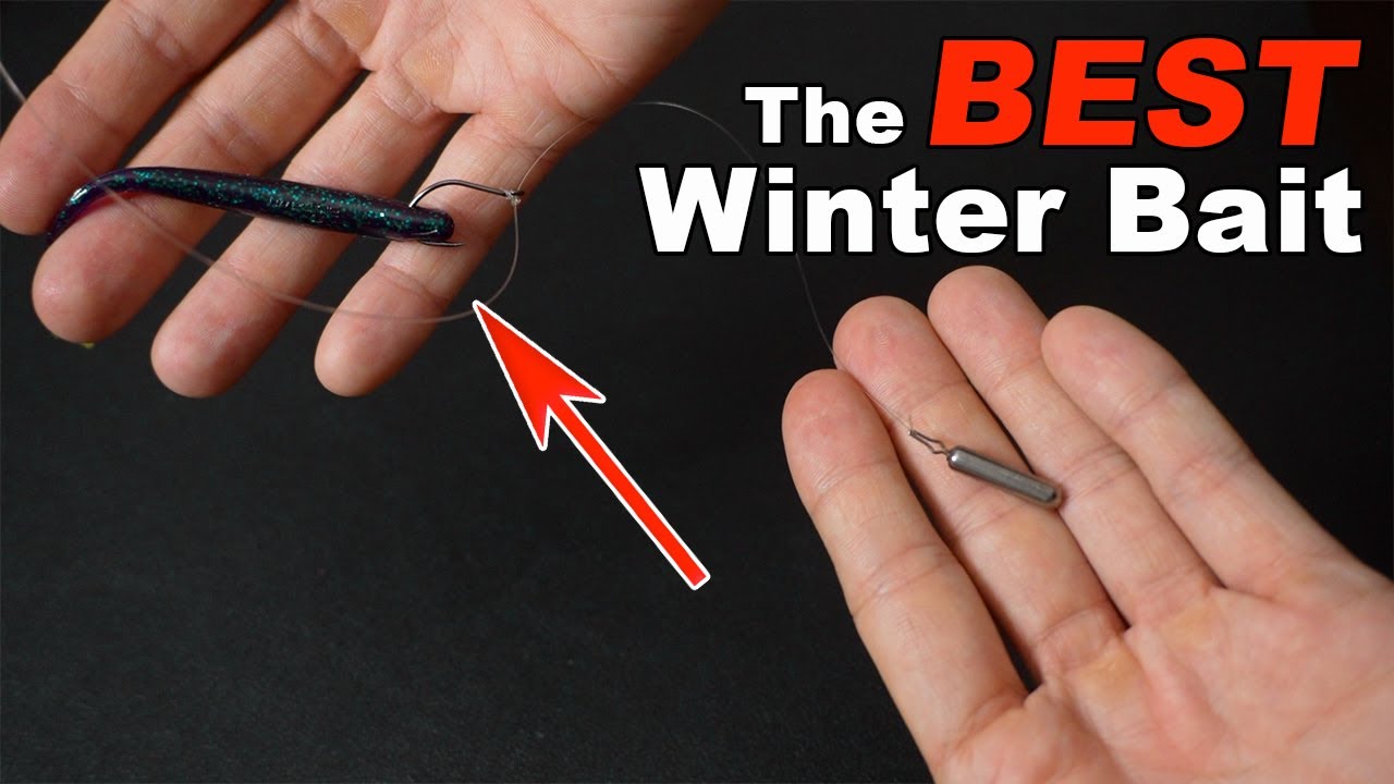 THIS Is The BEST Fishing Lure For Winter (DS Rig 2022) - YouTube