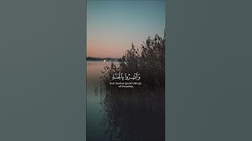 آيات من سورة الاحقاف | ارشاد للقرآن الكريم