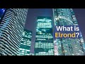 What is Elrond (eGLD)?