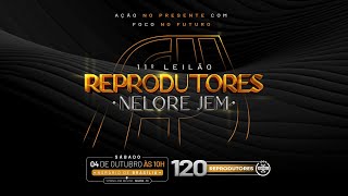 LOTE 65 AMJM 1089