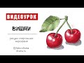 ВИШНЯ / рисуем спиртовыми маркерами