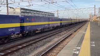 2059レ カンガルーライナー EF210-162+コキ 草津