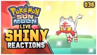 Live Shiny Litten Reaction Pokémon Sun And Moon Live Shiny Pokemon Hunting Reaction