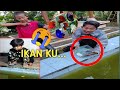 PRANK BUANG SEMUA IKAN CUPANG PUNYA BOCIL KEKOLAM RENANG, BOCIL SEDIH BANGET! | Mikael TubeHD