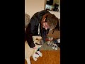 Dog goes crazy when hooman comes back from University after months #dog #shorts