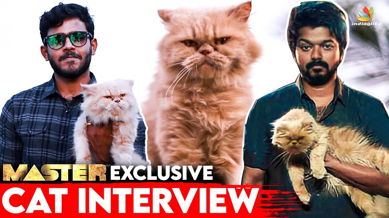 பூனைக்கு கூட Audition பண்ணி இருக்காங்க| Master cat interview ...