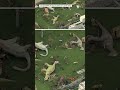 Parque de dinosaurios queda casi extinto tras paso de nor’easter | Telemundo 39