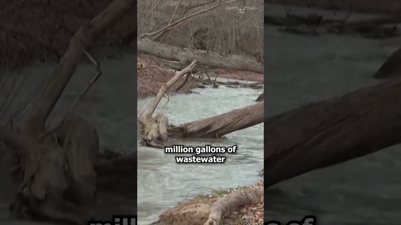 Trump deploying FEMA to ‘protect’ Potomac after sewage spill, blaming Democratic leaders