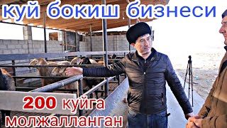 куй бокиш уй шароитида Барча сирлар очилди