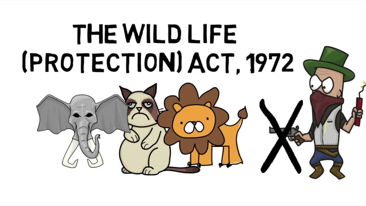 wildlife protection act 1972