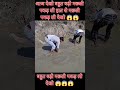 Aaj Dekho ketani badi machli pakd li  #viral #agriculture #farming #aquariumfish #freefire