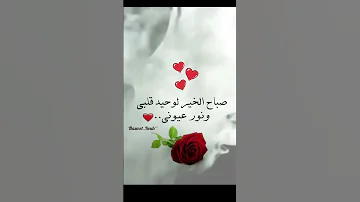 صباحيات للحبيب Shorts 