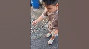 Mẹ ơi đi cứu con ốc #shorts #snail snail