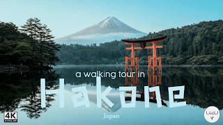 Why This is the Most Peaceful Walk in Japan | Hakone Shrine & Lake Ashi 4K