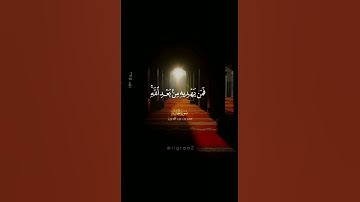 سورة الجاثية - أفرأيت من اتبع هواه || عمر عبد العزيز