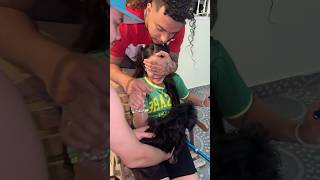 Sorprendí A Mi Hermana Con Una Mascota