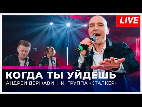 Андрей Державин - Когда ты уйдешь (Live 'Большая рыба')