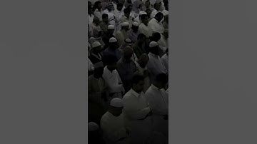 ما تيسر من سورة النور 🤍🎧 #قرآن #قران_كريم #ماهر_المعيقلي #سورة_النور #المصحف
