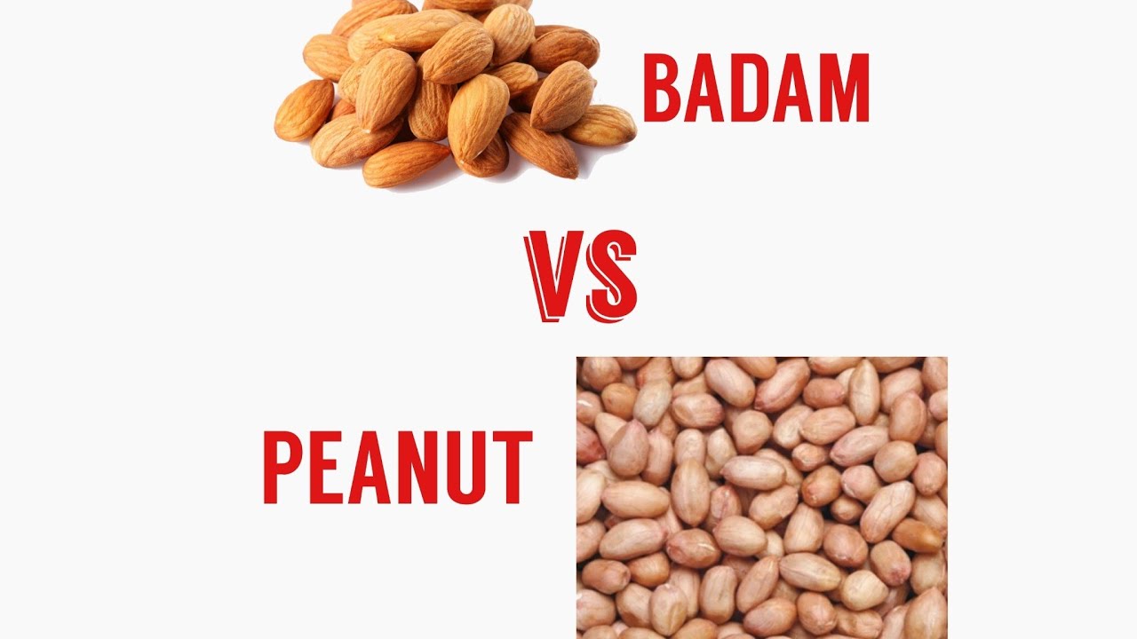 Which is good Almond or Peanuts???? YouTube