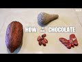 How to make Chocolate at home