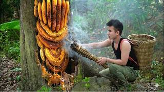 Harvesting Giant Wild Forest Honey to Sell at the Market – Thanh Duong’s Risky Jungle Journey