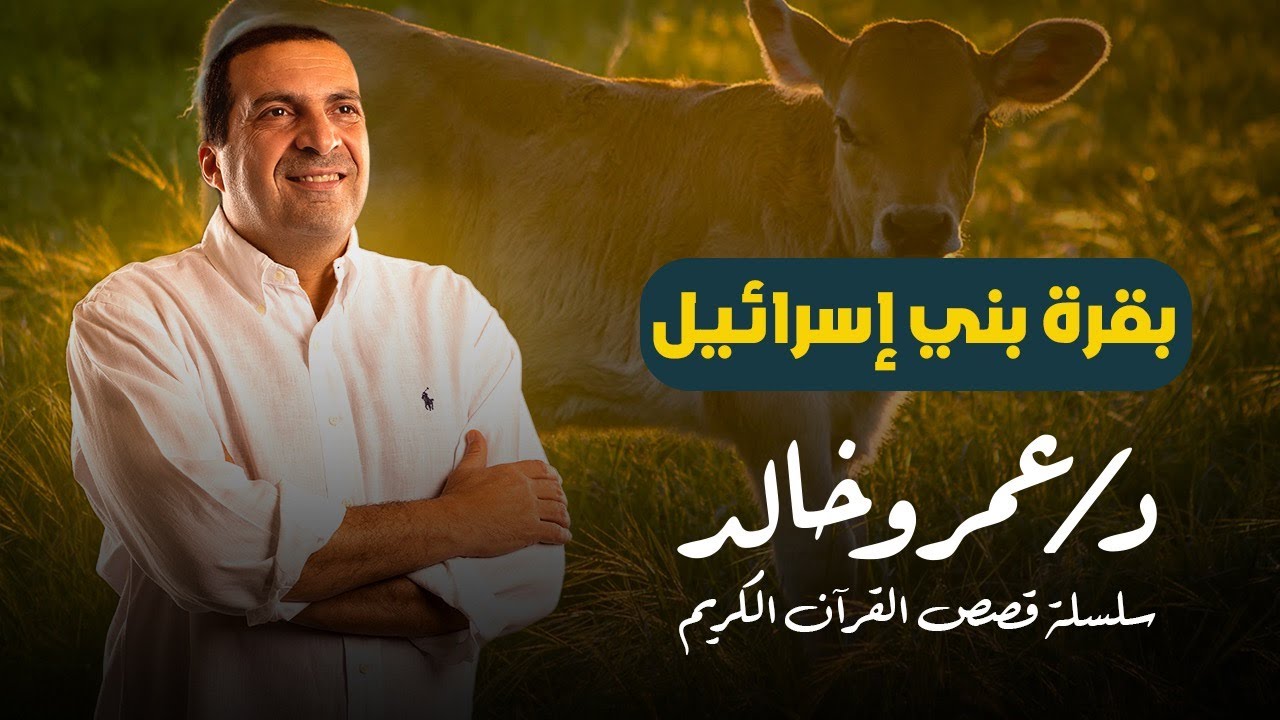 قصص القرآن  |  قصة بقرة بني إسرائيل مع سيدنا موسى | قصة عجيبة اعظم معجزة في القرآن