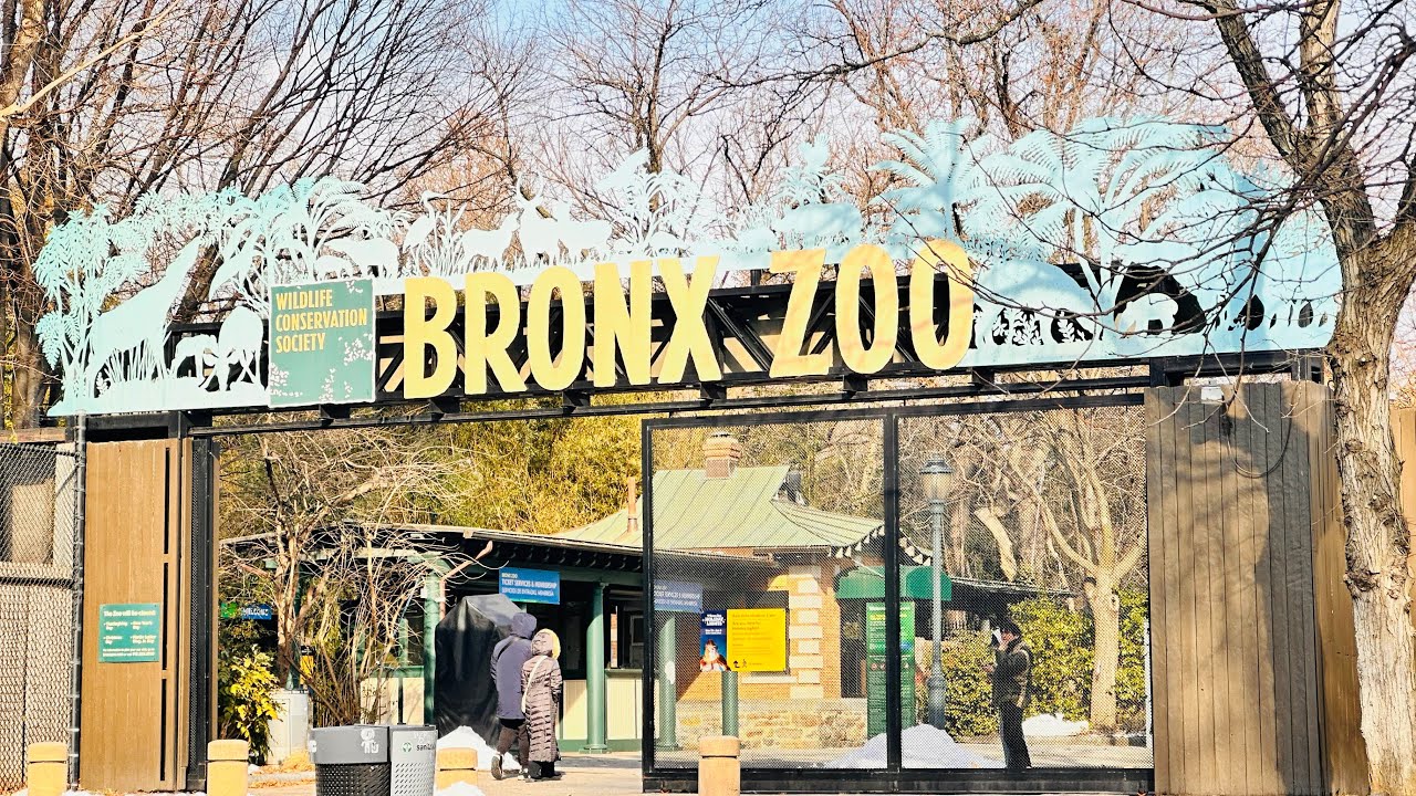 #bronxzoo