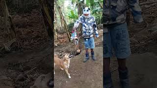 VID 20251206 083155