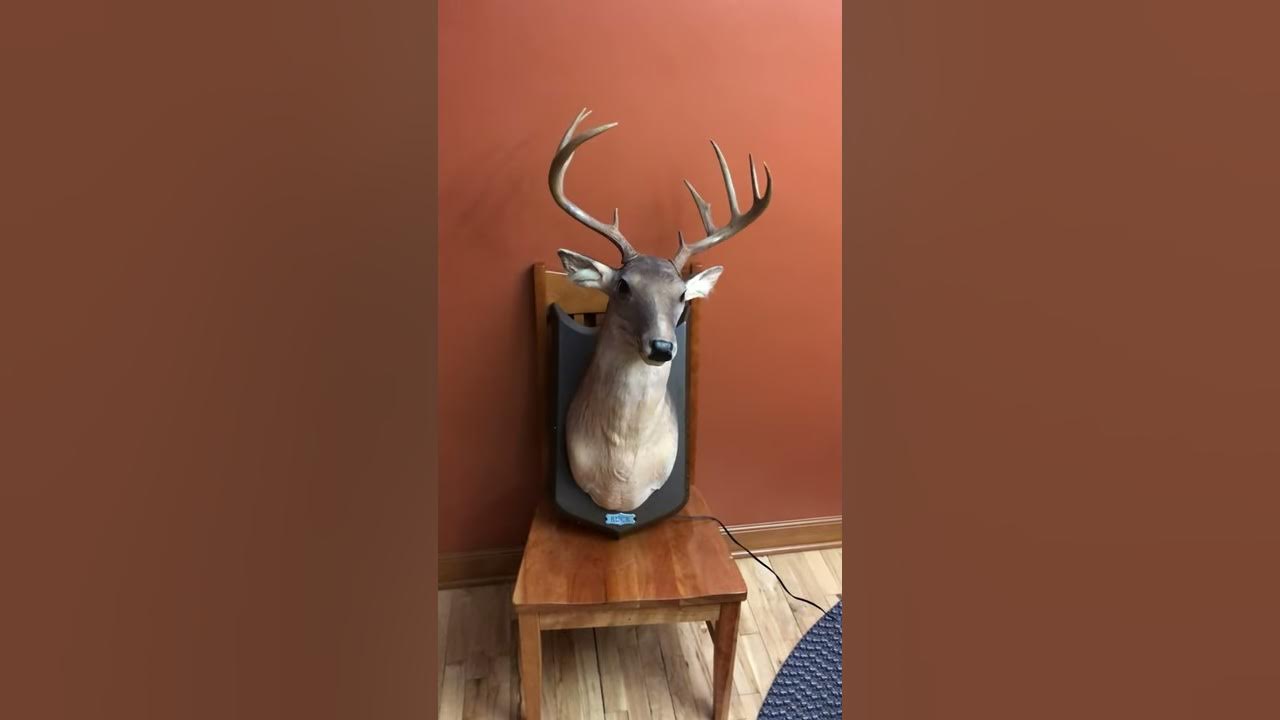 Buck the Animated Trophy Talking and Singing Deer by Gemmy Industries