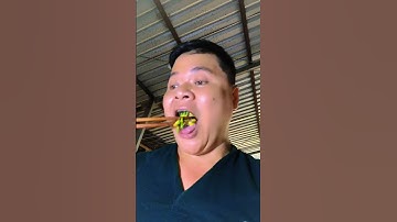 Món bánh xèo tép đồng bông điên điển đặc sản mùa nước nổi