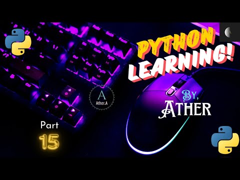 python set update and add function